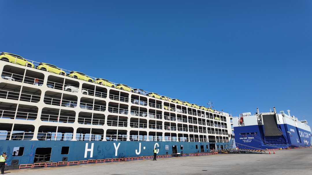 在外高桥看港通天下船行深海丨活力中国调研